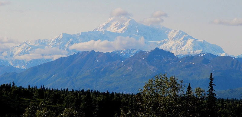 99DE8A3B5DCF0C900A35A8