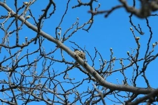 58ba7e78884aab4d6d641e6391de82335334dc3b