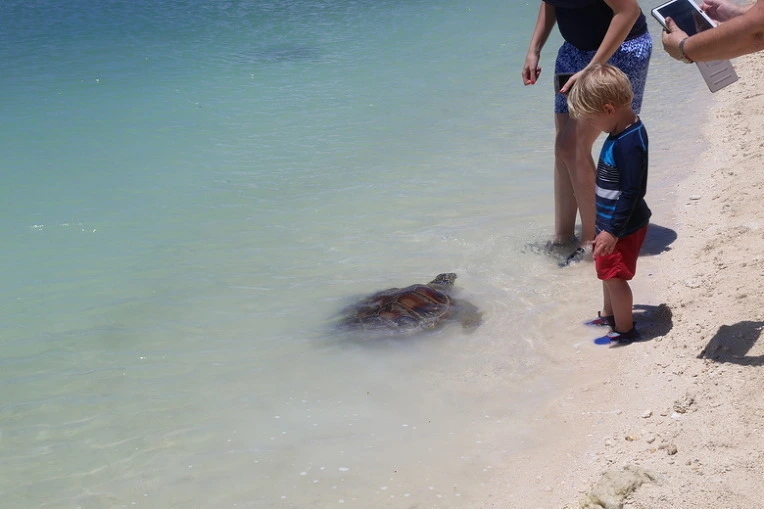 8982b36a22d2e296d3140a8a3080d51570186a5d