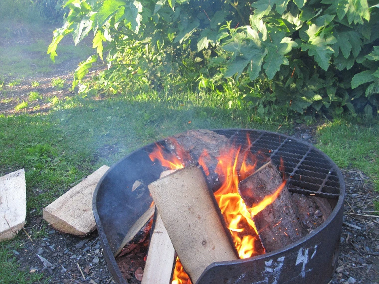 a31432d42e19adae6fdff749771bb943a8ffe61b