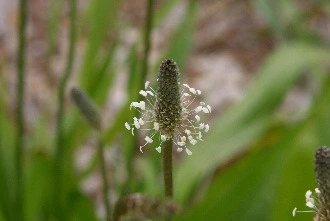 db6c76ef3dd8f670d9e5d010d929540c6b012376