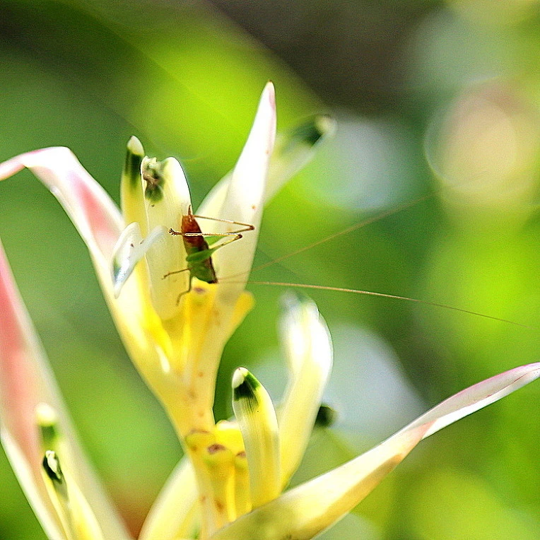 ed20d4abd3d94f5b2475a40dd87d2fd65de14b05