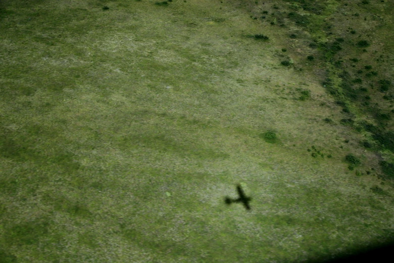 9935784D5DAD9A124AE176