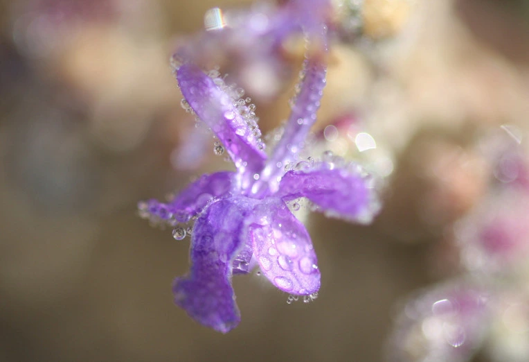 f2f63b99e1ac01328e6e0946ff04cb426c97ca45