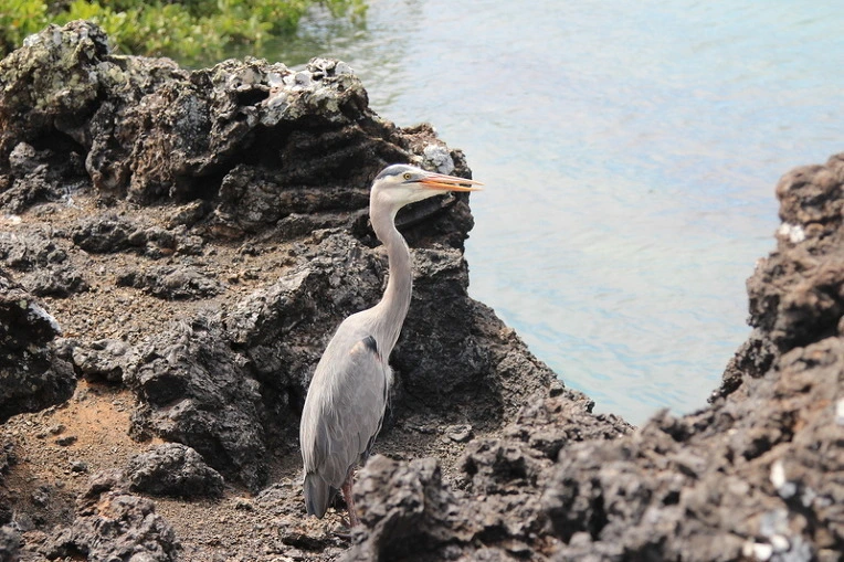 108f53ddc05ead9f9b5709d6bb078c42fe03bd27