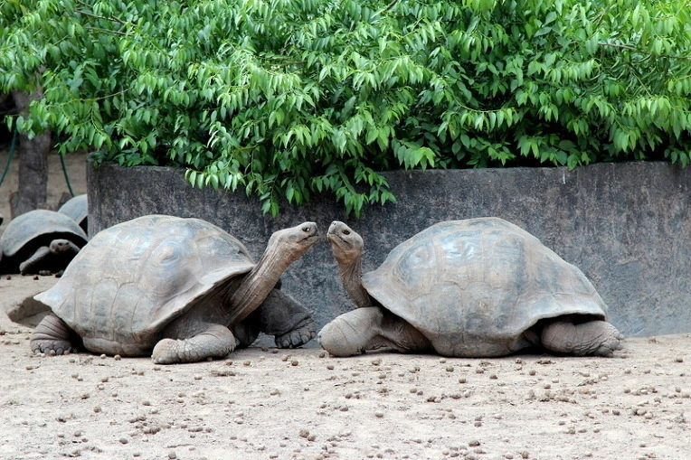 d1a6e36ee15b1ee4cbd3ae7ca6d8caab01b3ca61