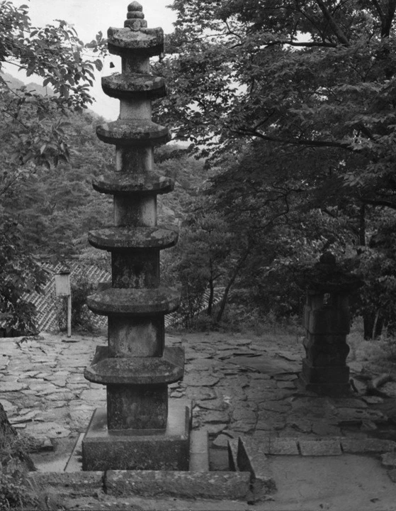 fe02821dd261d26181cd687c71843e1058ffc1b9