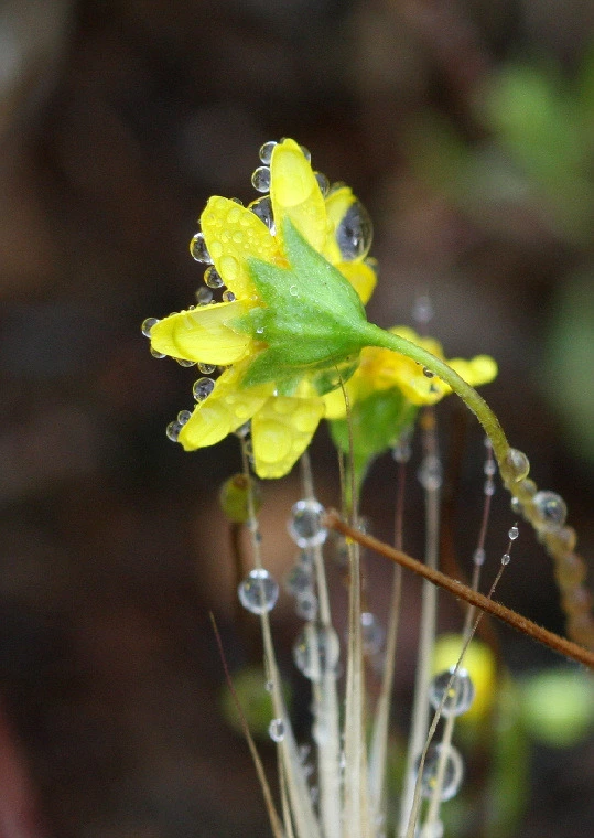 d1b91ff83a774e53cc2e08b0bc8cdce16b523d35