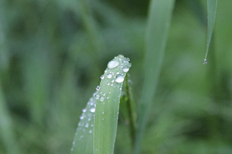 bfc1c195beb2bbe2e613433592a353dbe58b3488