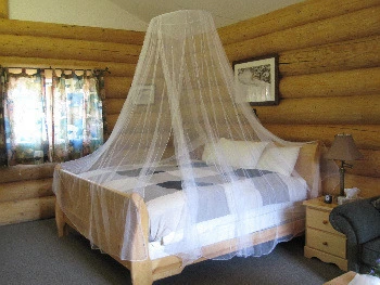 29888f201e93e33c8a40c6654fb5188fcab0e079