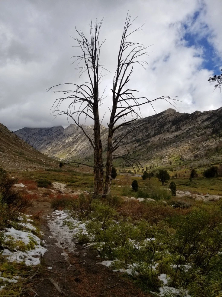 f119add84303a40bda59f6d60aded565f711e7b6