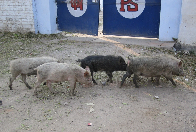 bca05482ad14df86feb70d678d912a95af817bcf