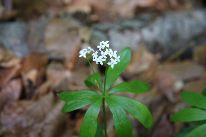 3ead92aebf5c418478b69eab751348b9aeeb84b5