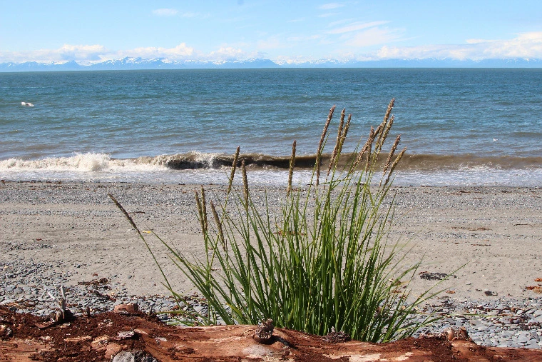 2f7f1820185f56b7be6728af7ad34bf8ac5f3698