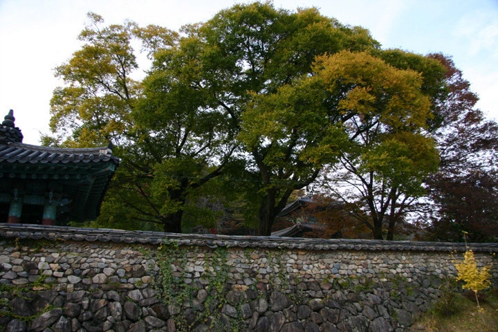 1d10b49ad1c45fe33fbc2eb0171412947c5c3a0f