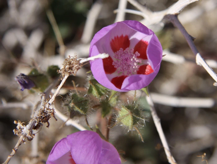 14124C1349F34AB611B565