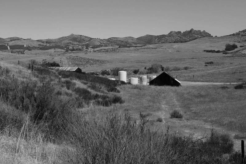 9905DF385DD1C24C15B831