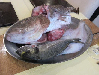 6923039458038a1498a6a782b5a40e49cd9b4d45