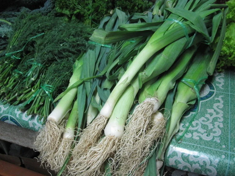 dc19634d220e0ce30a6e46e7c76583556e910e13