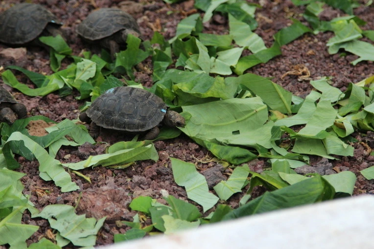 0cb6a4c7b397179df968f8d7e88a5fd410ff3164