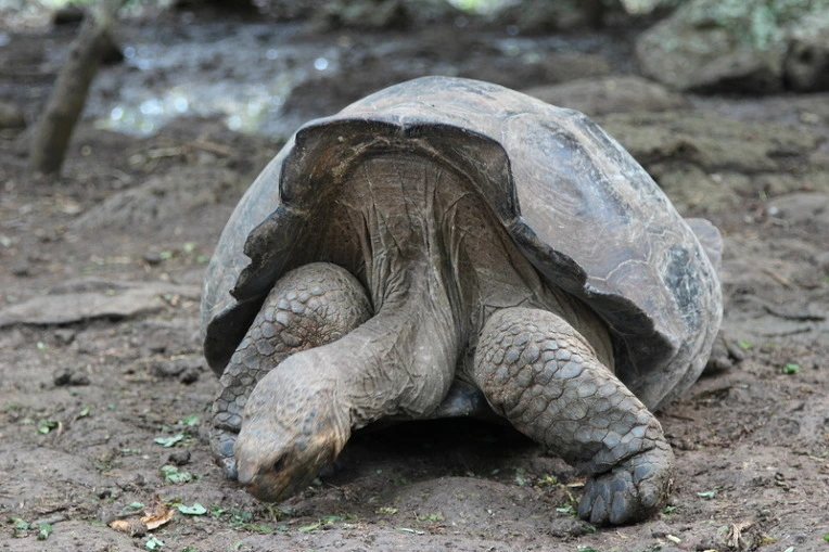 ddba60178bf5e3170a7e4f267e2c1ce3652a1aae