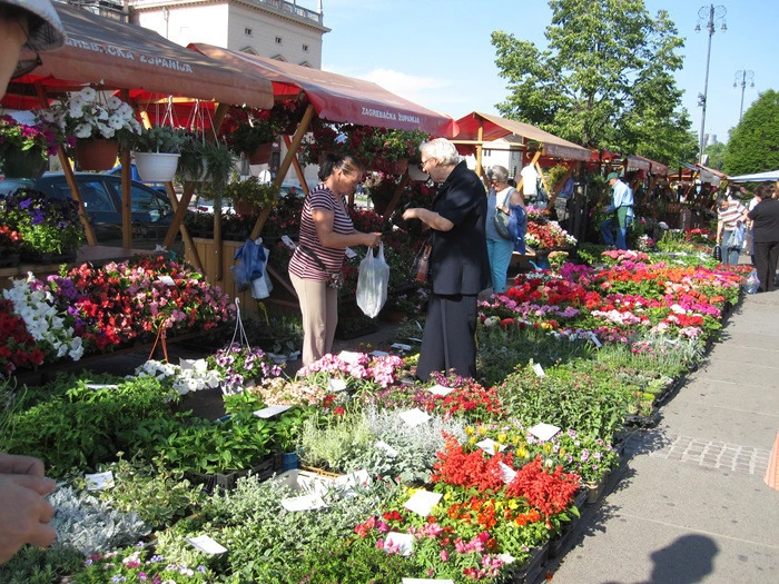 caad557d0391d493a2f2bcf6577f6195453ca20c