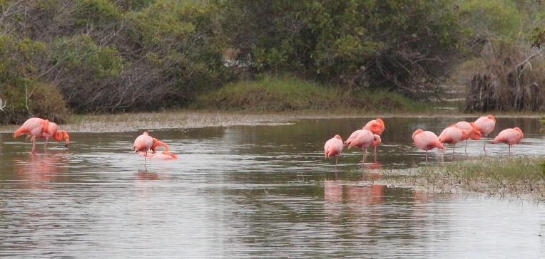 0240e8f50905d4bad79ef9d4d297bf00bb03cfe2