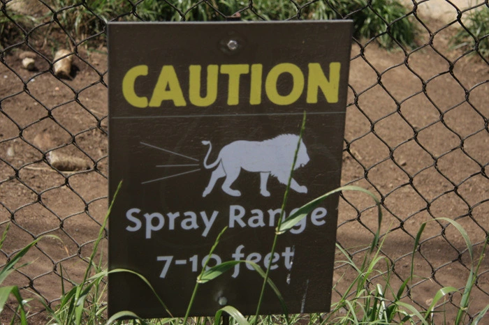 03f817f7edfa14ffc2aba90f957d33f9460e7aeb