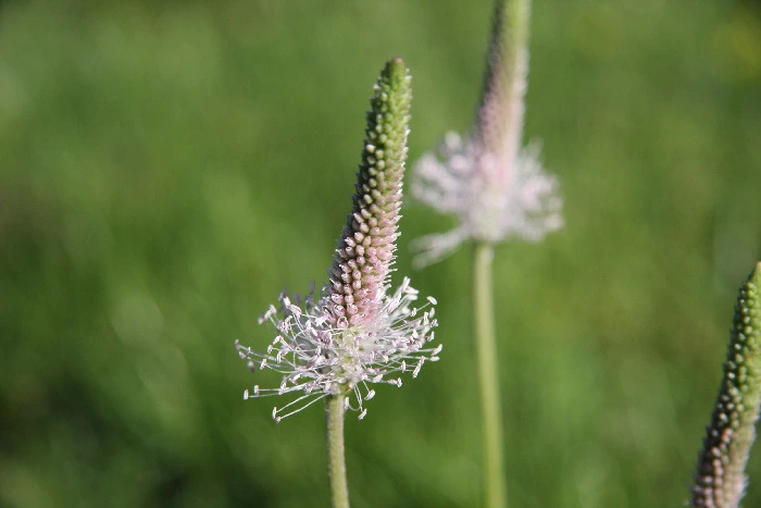 62e802d2dabc2921436fe9c7cda64565c7ac9e05