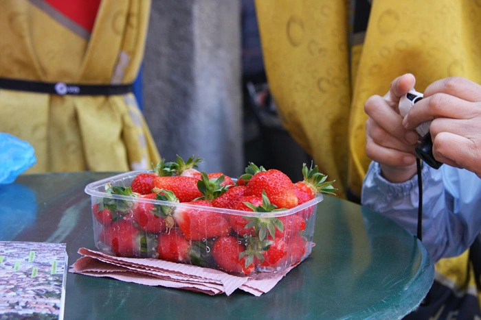 1fe8eeb9ee4719e8e76744d76b7d9b89399711f1