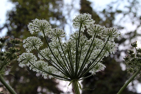 caec00d614e5ea442801a7565b81811b17023446