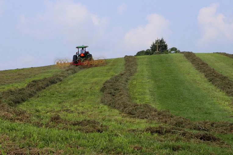 eb4b50740be241b25f63106c3cebcecfbcac0528