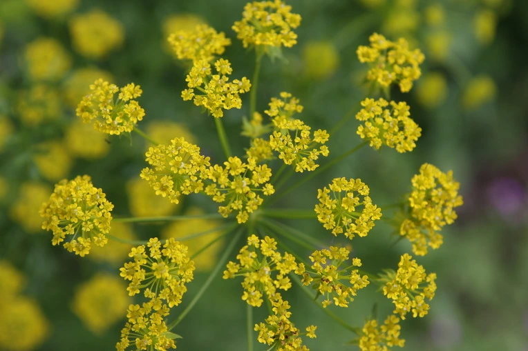 1a6969c05c2d2c15a3c1f830d05a51d7935b5b24