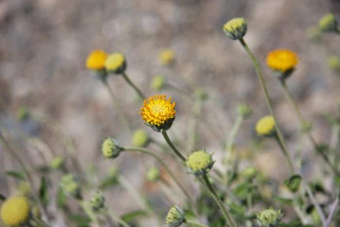 13124C1349F34AB50F4EB7