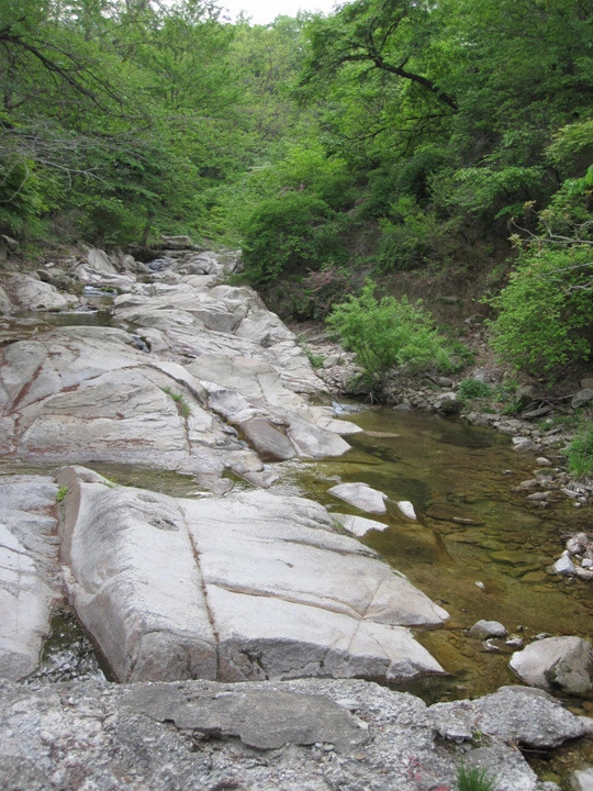 ce172cf842b36a0a0bc13afb3b1f95dac3573577