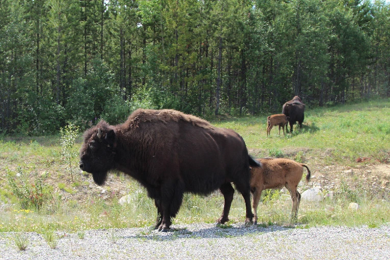 5b6fb82a67bffa5e72fae1b820bed28c7f731843