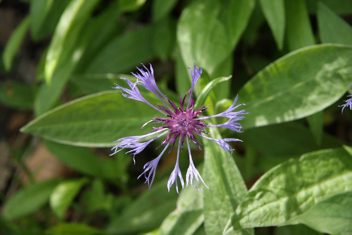 0b5082ad2c09527638a88ce11448dbf750c2f212