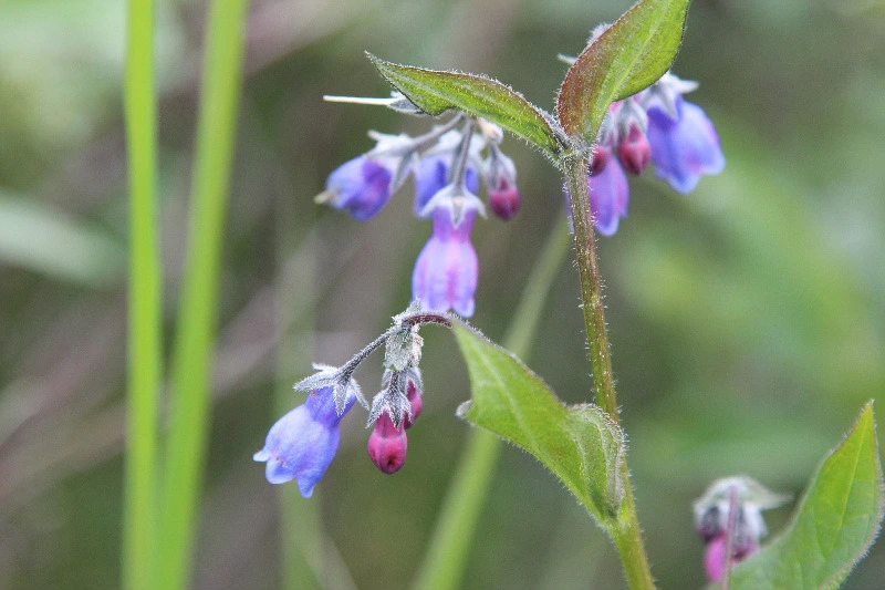 9993B8335DCF0CCF093291