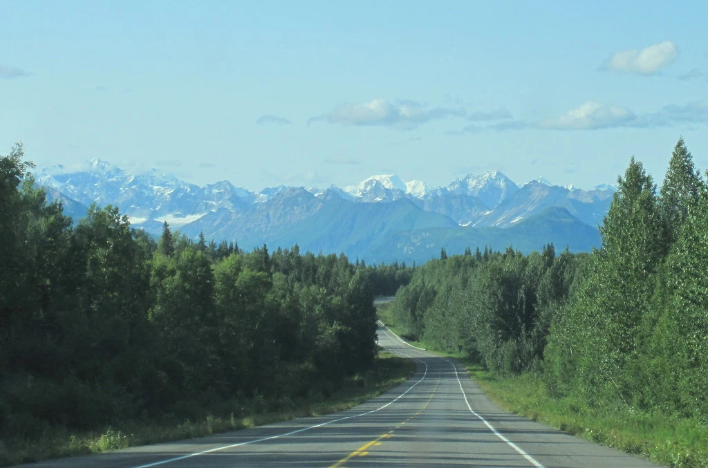 99DE6C3B5DCF0C8D0A614C