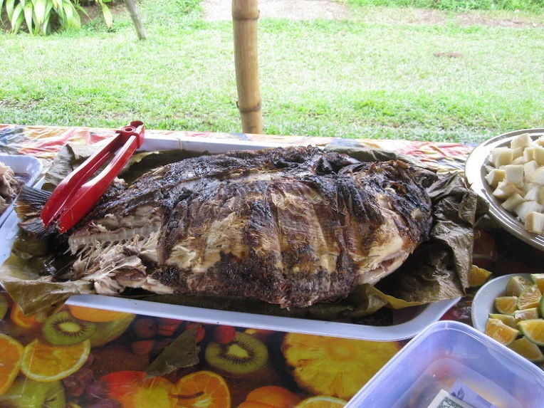 65f8c8f9fd0a01fbdaa67236dbd03d2fe5a8a437