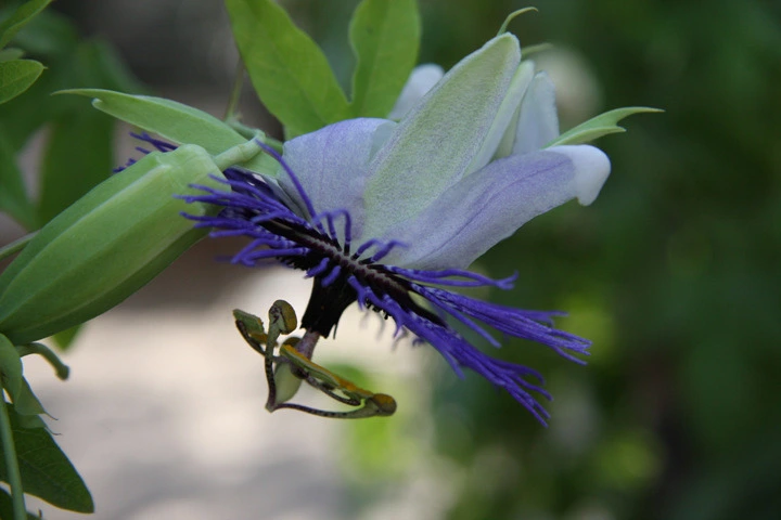 4bd3a4e70e8f1dce26337c7904771281edf90208