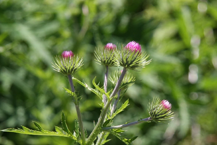 d6c1b4601c297a742280b0ca826812a80672c385