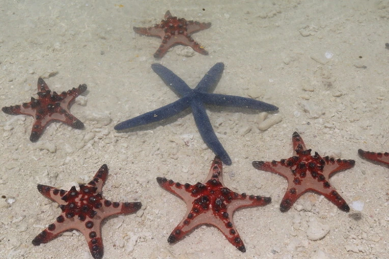 daf74871cc6910a40bfc4a9e19ed0cf18009dd68