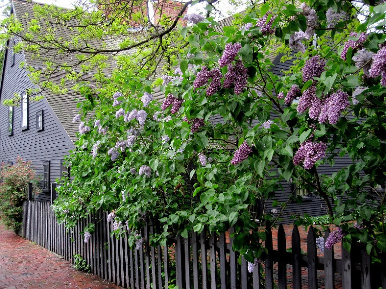 26745ced666c980a7eff4830d0c7d1e28f1014bb