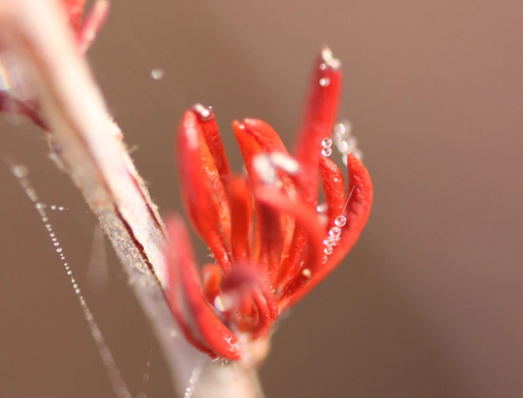 80fbf1efba2e14086f2cd388ec0050f2d8e2dd7f