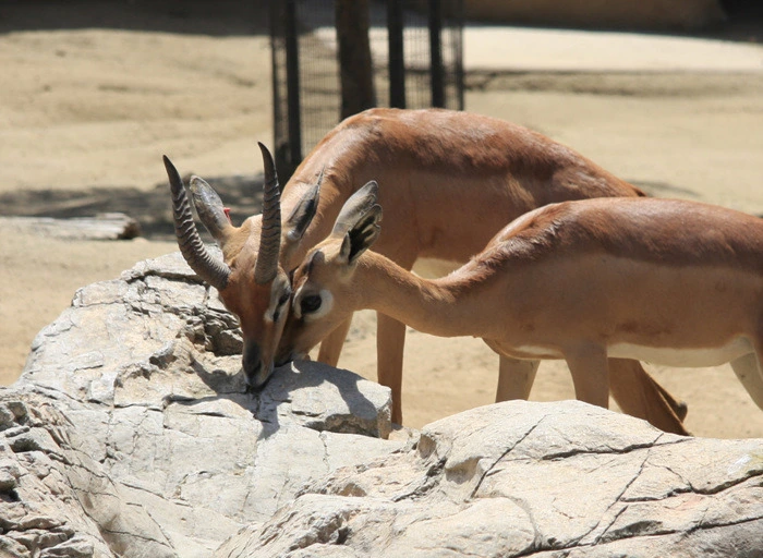 a851669dd17a7716ec893aa8dba0056ab6dda22a