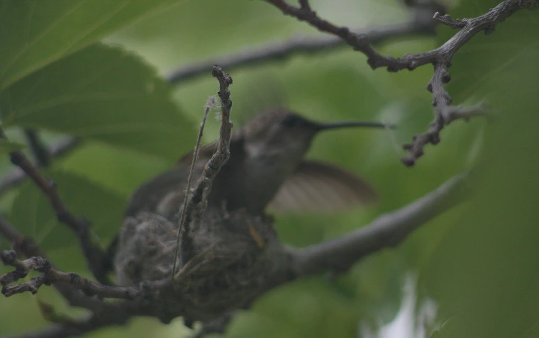 d5650525d730c68352bb48bec5b5c2dbad6e2f8c