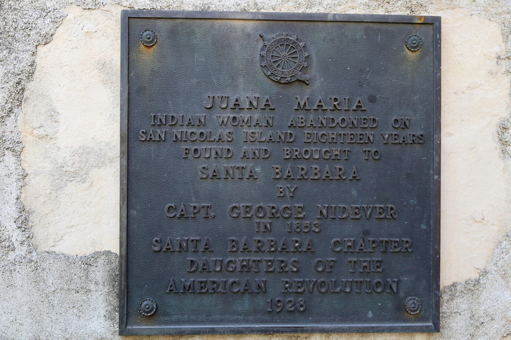 99C212345F0DBAB602D868