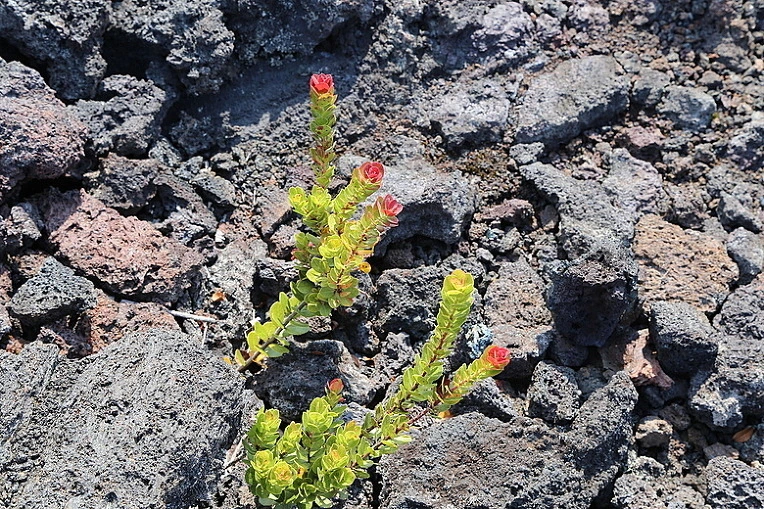 0232052b677e9953288ea8aca144a81fe8d83107