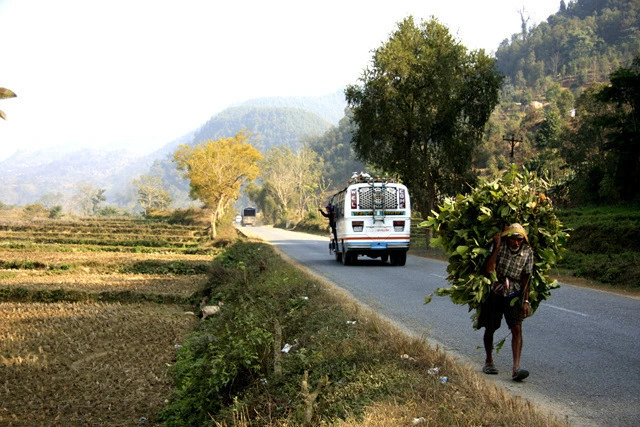 8e907ef8d3c9cbdc718d018dda4200bf732d2bff